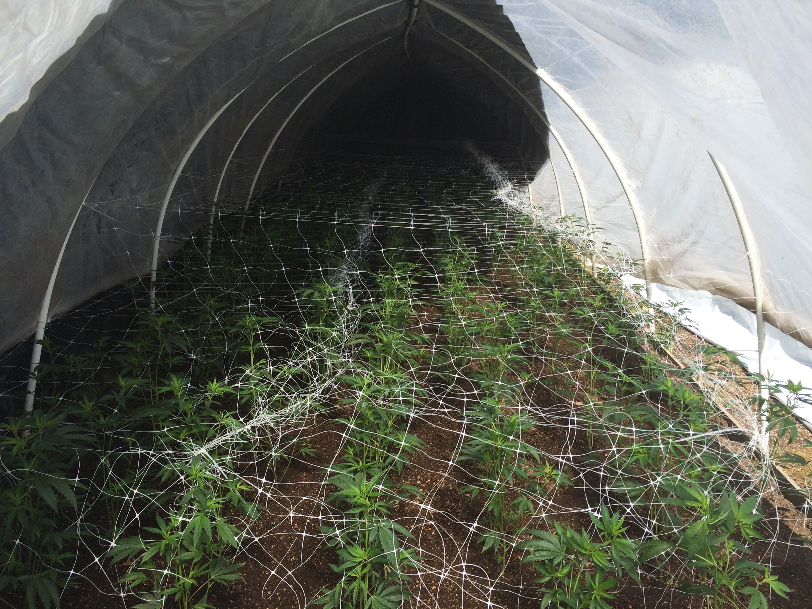 Hash Lab - 201602608